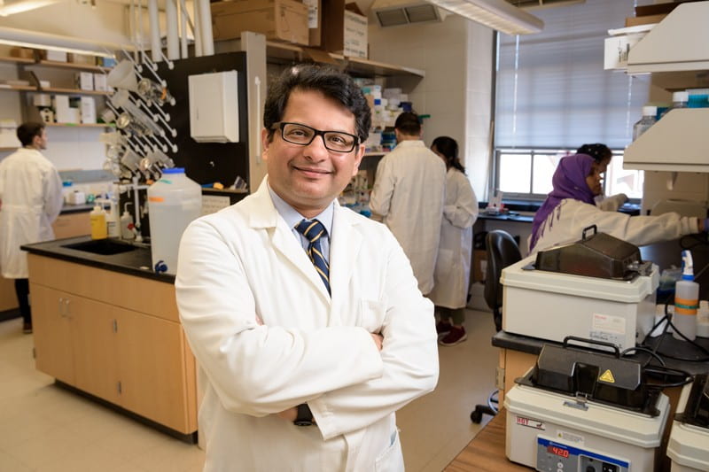 Salil Lachke is the Alumni Distinguished Early Career Professor of Biology and associate professor and associate chair of biological sciences at the University of Delaware.