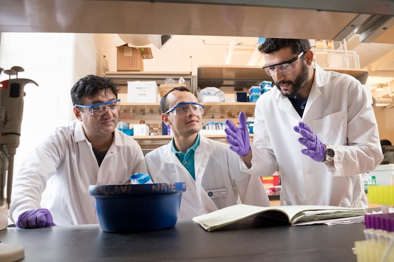 Working in Salil Lachke’s lab during the summer of 2019 are (from left) doctoral student Sanjaya Shrestha, undergraduate Francisco Hernandez and doctoral student Sandeep Aryal. Hernandez and Aryal are among the co-authors of a recent paper published in the journal “Human Genetics.”